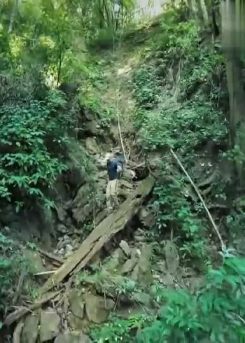 荒野求生专栏封面图