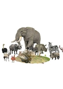 精彩野生动物世界