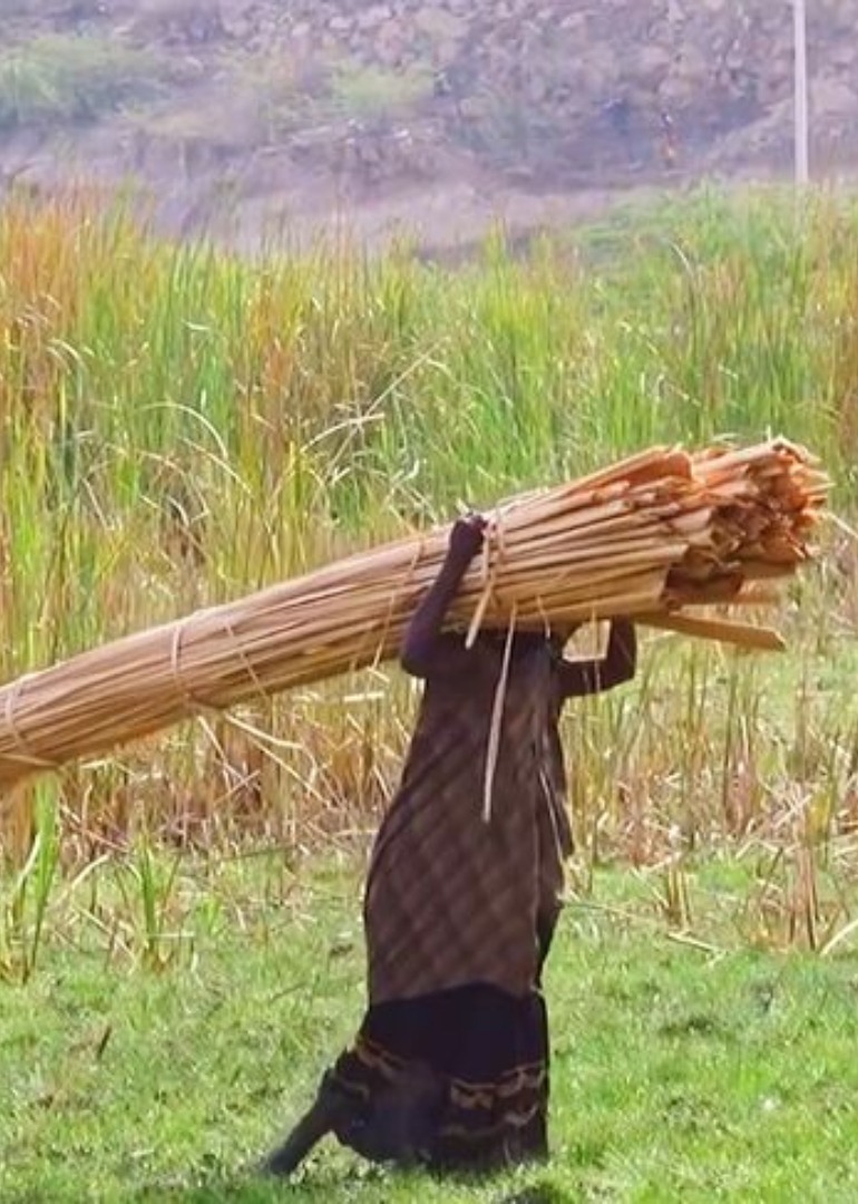 尼泊尔乡村生活封面图