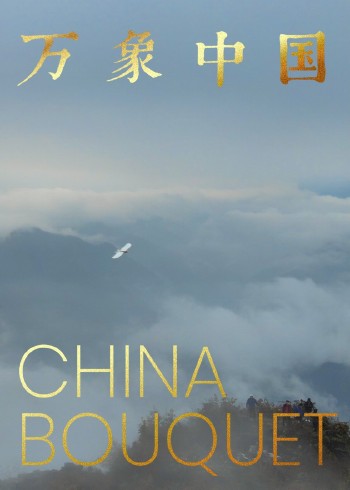 万象中国:超越万象探寻中国封面图