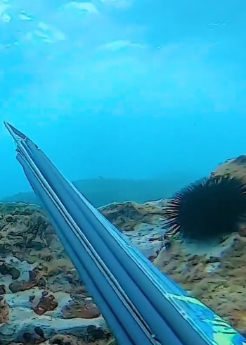 海底捕鱼封面图