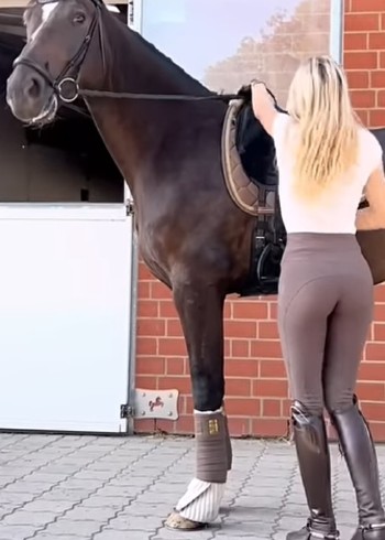 感人肺腑的动物小故事封面图