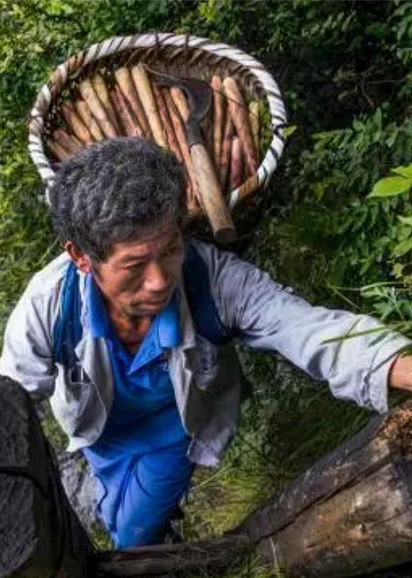 世界万物纪录片