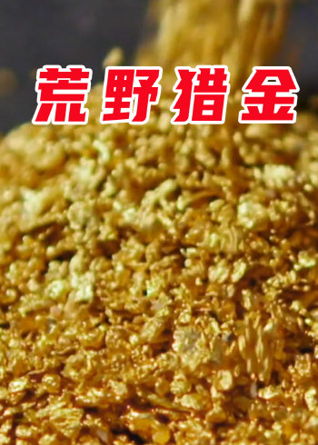 荒野猎金系列封面图