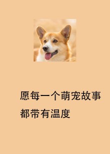 愿每一个萌宠故事都带有温度海报