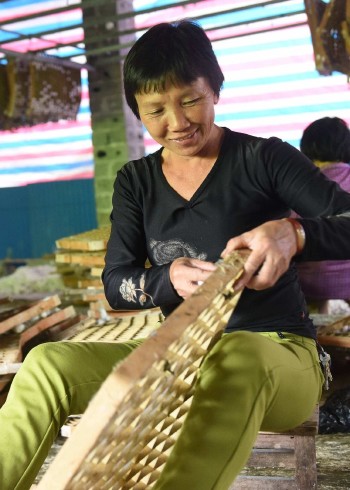 晓枫讲述世间百态封面图