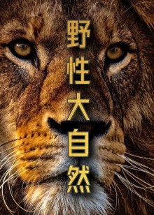 野性大自然Wildnature