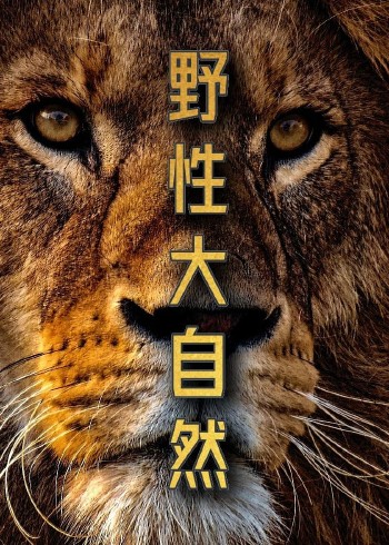 野性大自然 Wild nature封面图