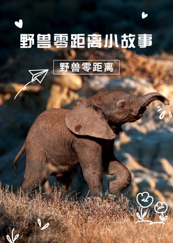 野兽零距离小故事封面图