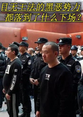目无王法的黑恶势力都落到了什么下场封面图