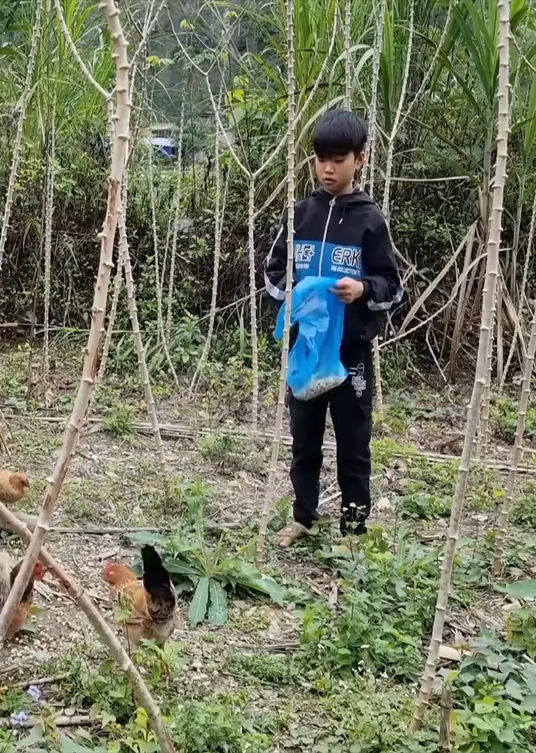 一个人的荒野独家生活