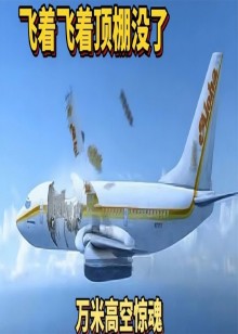 真实空难讲述海报