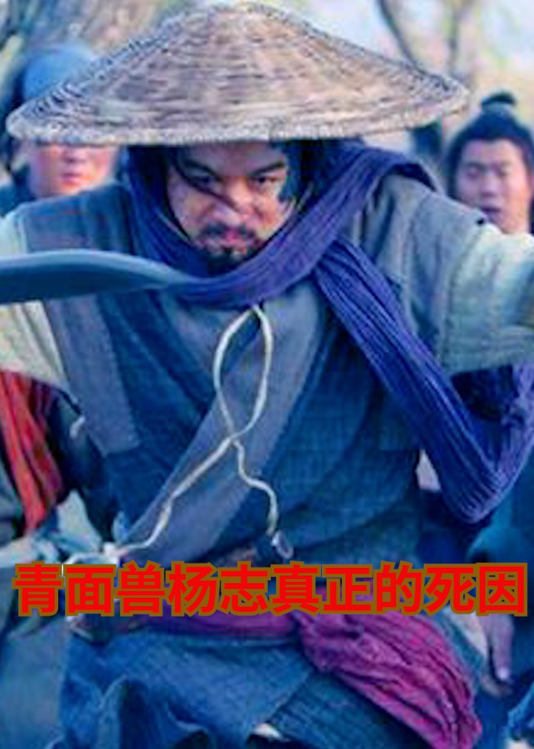 揭晓青面兽杨志真正的死因}