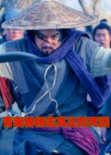 揭晓青面兽杨志真正的死因