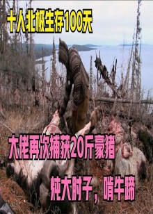 生存挑战荒野求生