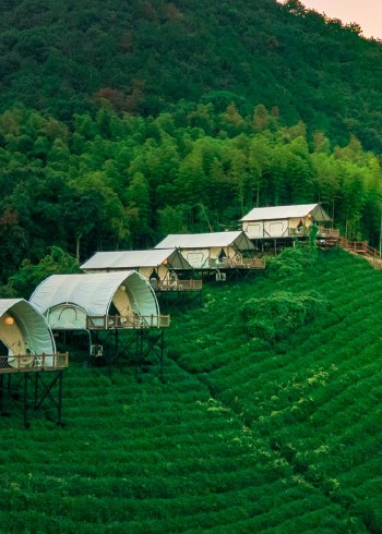 户外特色美食户外探险封面图