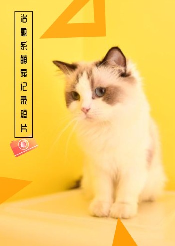 东西部兽医萌宠纪录片封面图