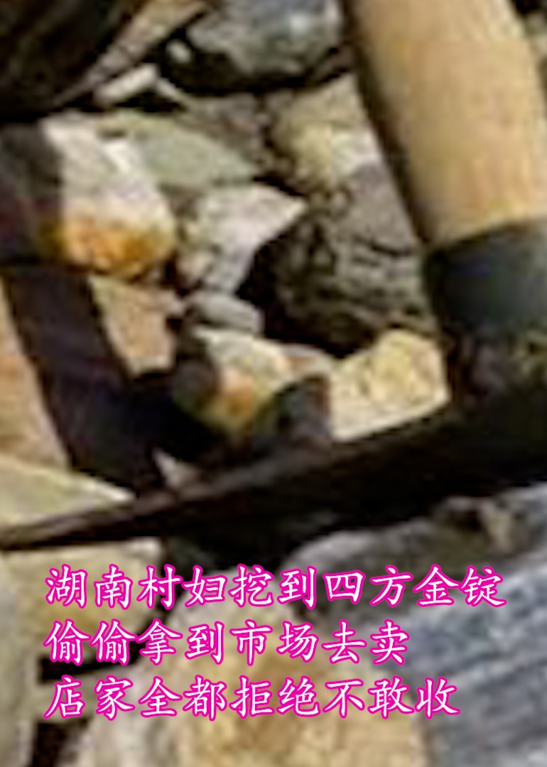 历史揭秘-村妇挖到四方金锭}