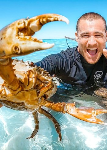 国外红树林抓青蟹深海捕捞鱼群泥滩抓竹节虾封面图