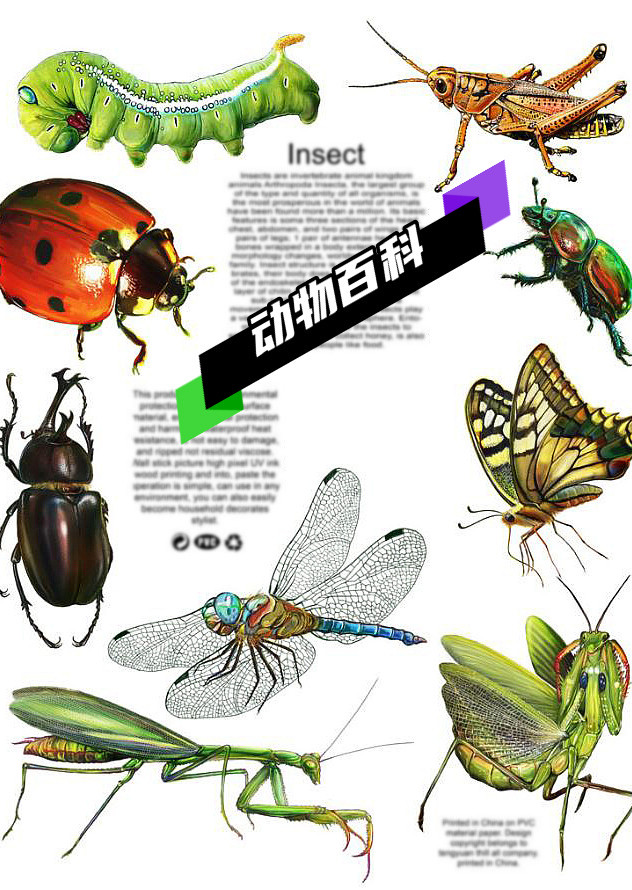 纪录片解说封面图