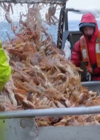 捕鱼生活封面图