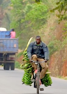 不可思议的旅程看遍世界奇闻异事