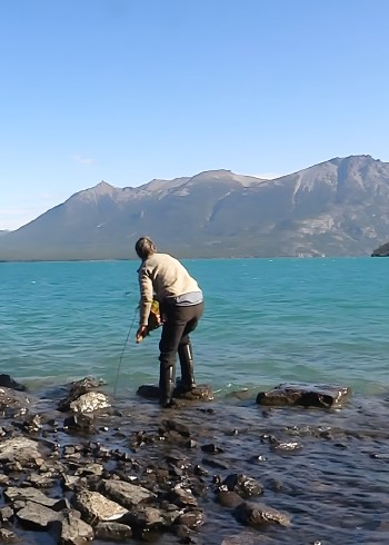 荒野生存纪录片封面图