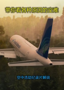 空中浩劫空难调查纪录片合集