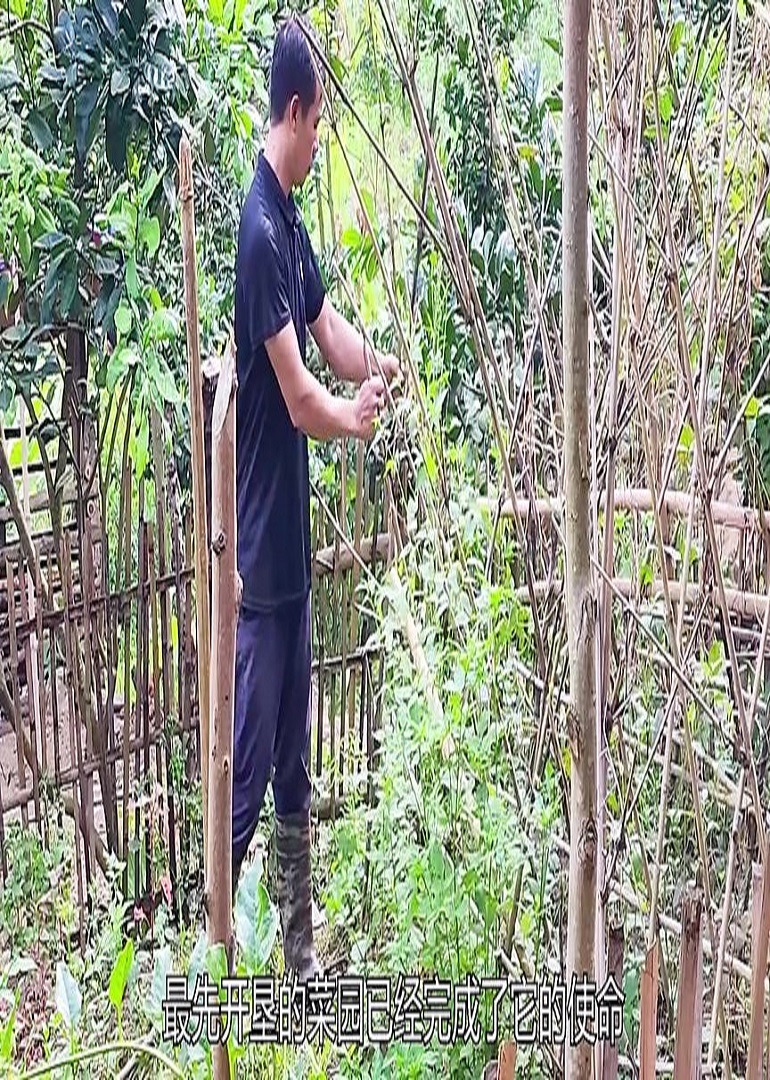 专业解说荒野荒岛生存