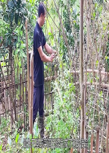 专业解说荒野荒岛生存封面图