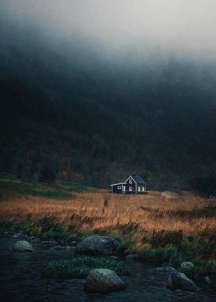 荒野独居荒野生存