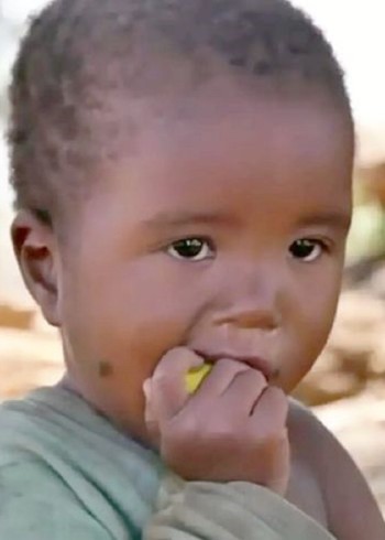 大杠带你看世界封面图