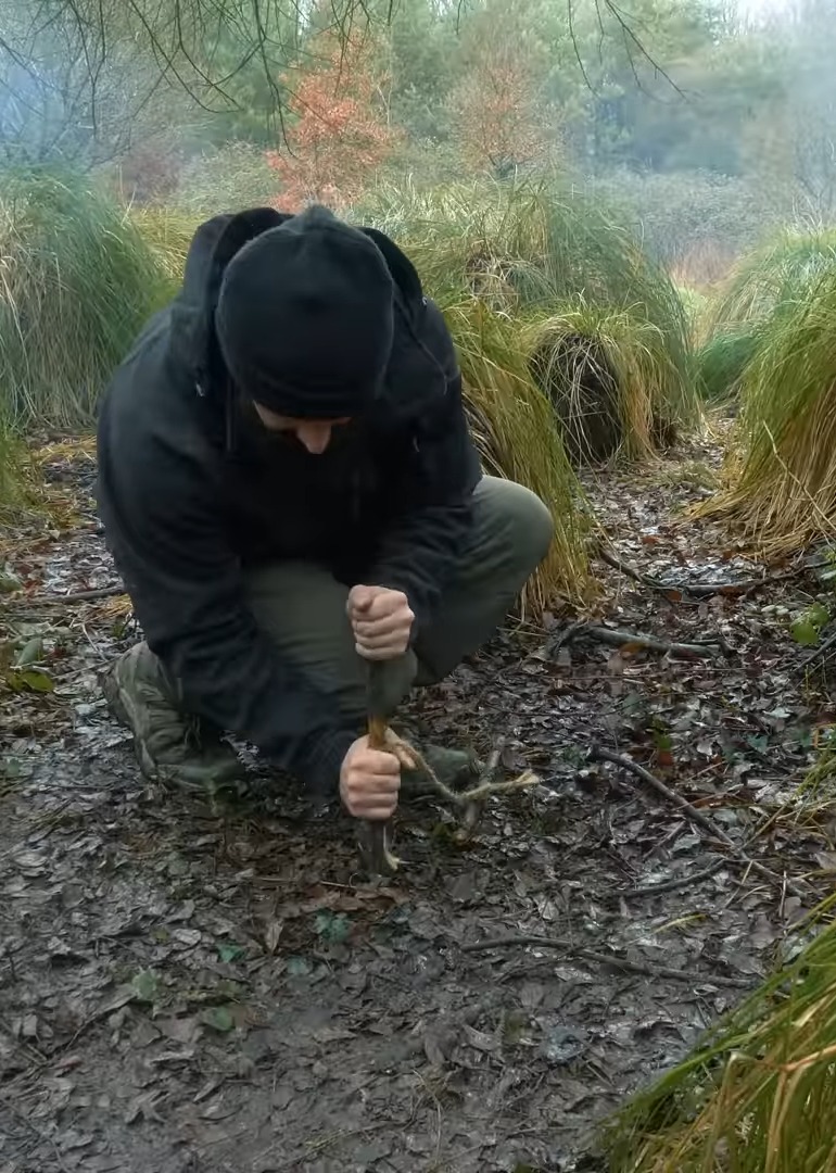 芒果荒野求生记录片