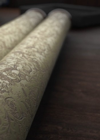 沧州运河古韵封面图