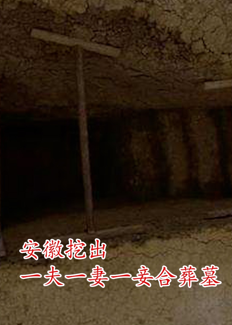 安徽挖出一夫一妻一妾合葬墓}