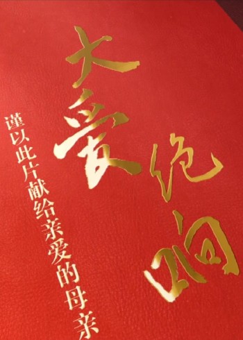 大爱绝响 :谨以此片献给亲爱的母亲封面图