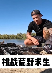 挑战荒野海报