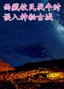 西藏牧民找牛时误入神秘古城