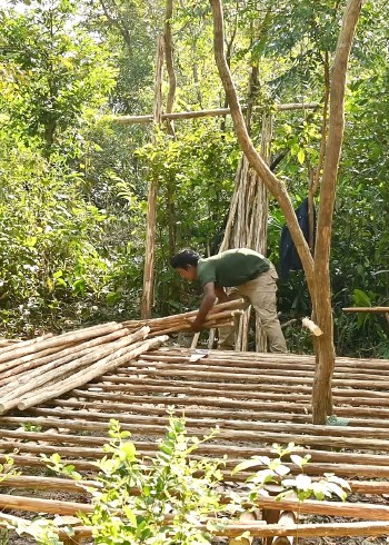 橙子荒野求生记录片封面图