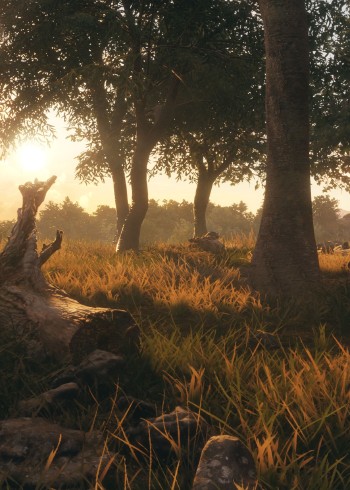 荒野探险封面图