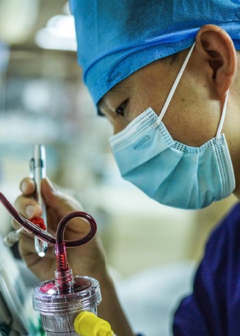 人间温暖封面图