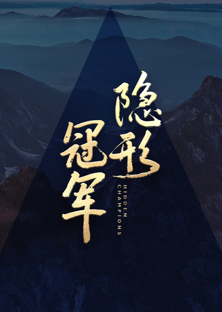 隐形冠军}