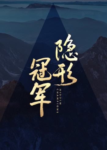 隐形冠军封面图