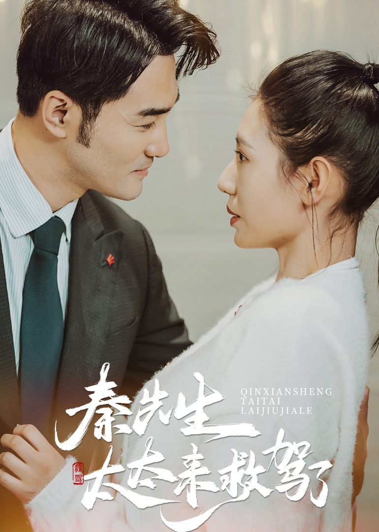 《秦先生太太来救驾了》 海报