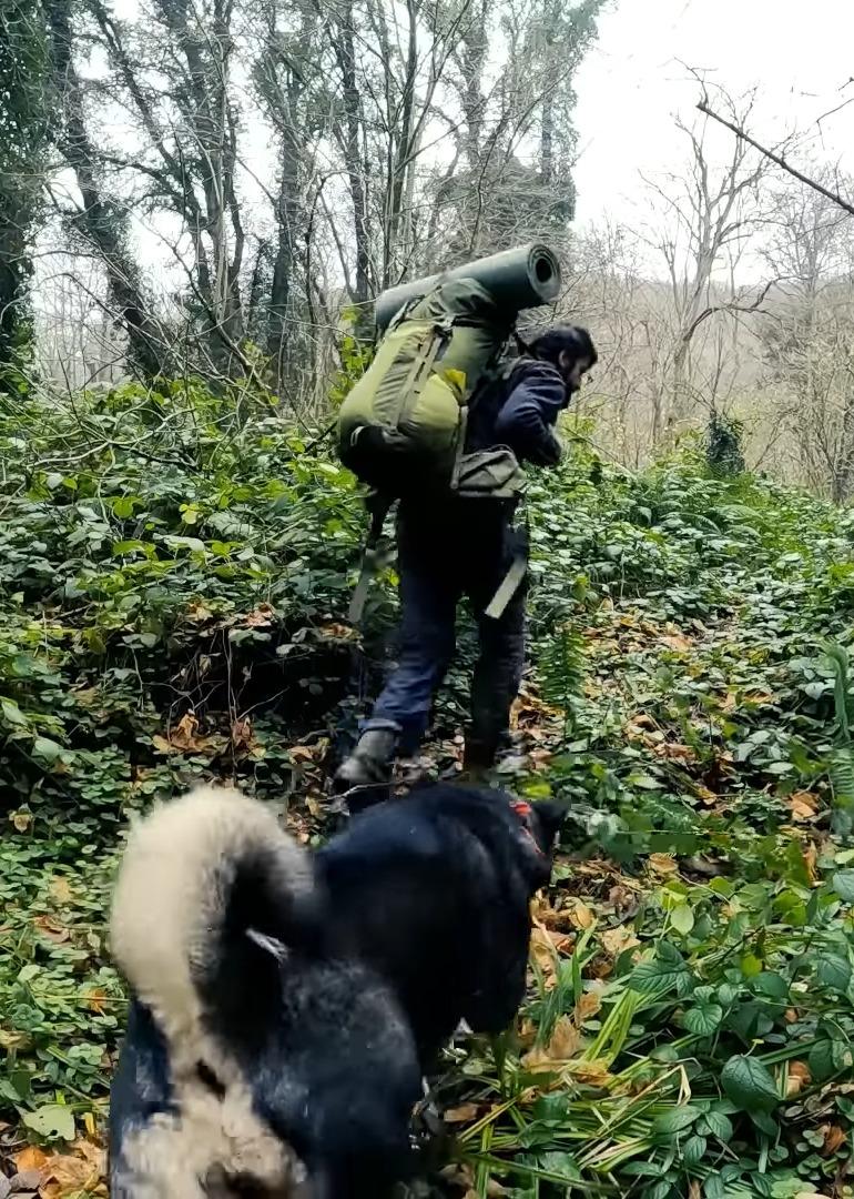 抓猫的鱼荒野求生记录片}