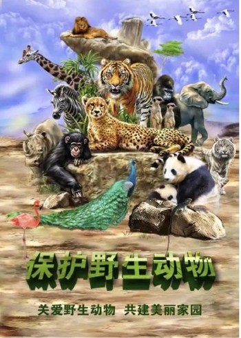 保护野生动物人人有责封面图