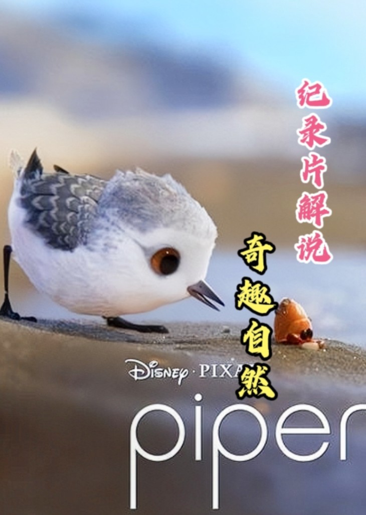 纪录片解说《奇趣自然》