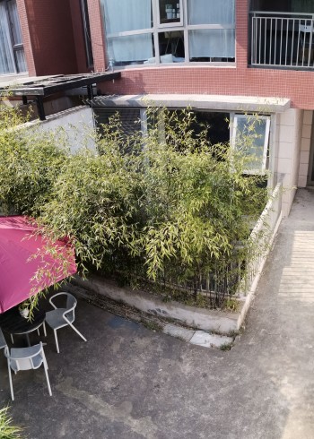 驻地纪实 Residency Record封面图