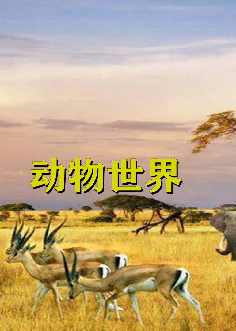 动物世界}