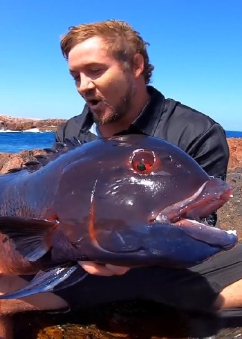 美丽蓝天海钓海捕赶海封面图